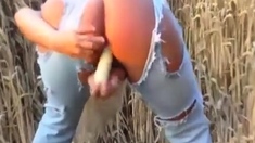 Amateur - Hot Blond Vibe Show in Field