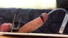 E-stim Orgasm Cum Collection Urethra Tubing 0:24