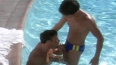 Peter Wilder, David Bradley And Spike Sucking And Drilling Ass In The Pool